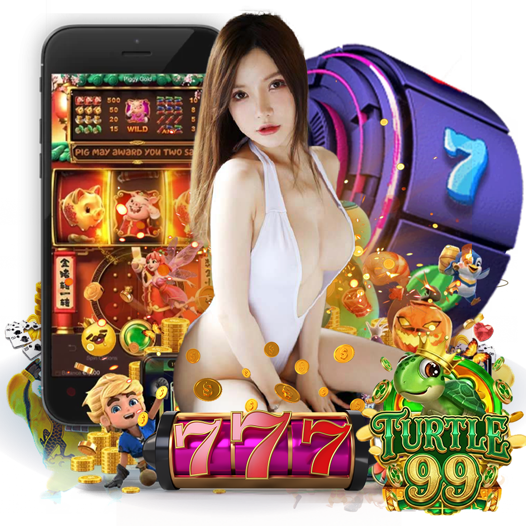 turtle99 ทางเข้า